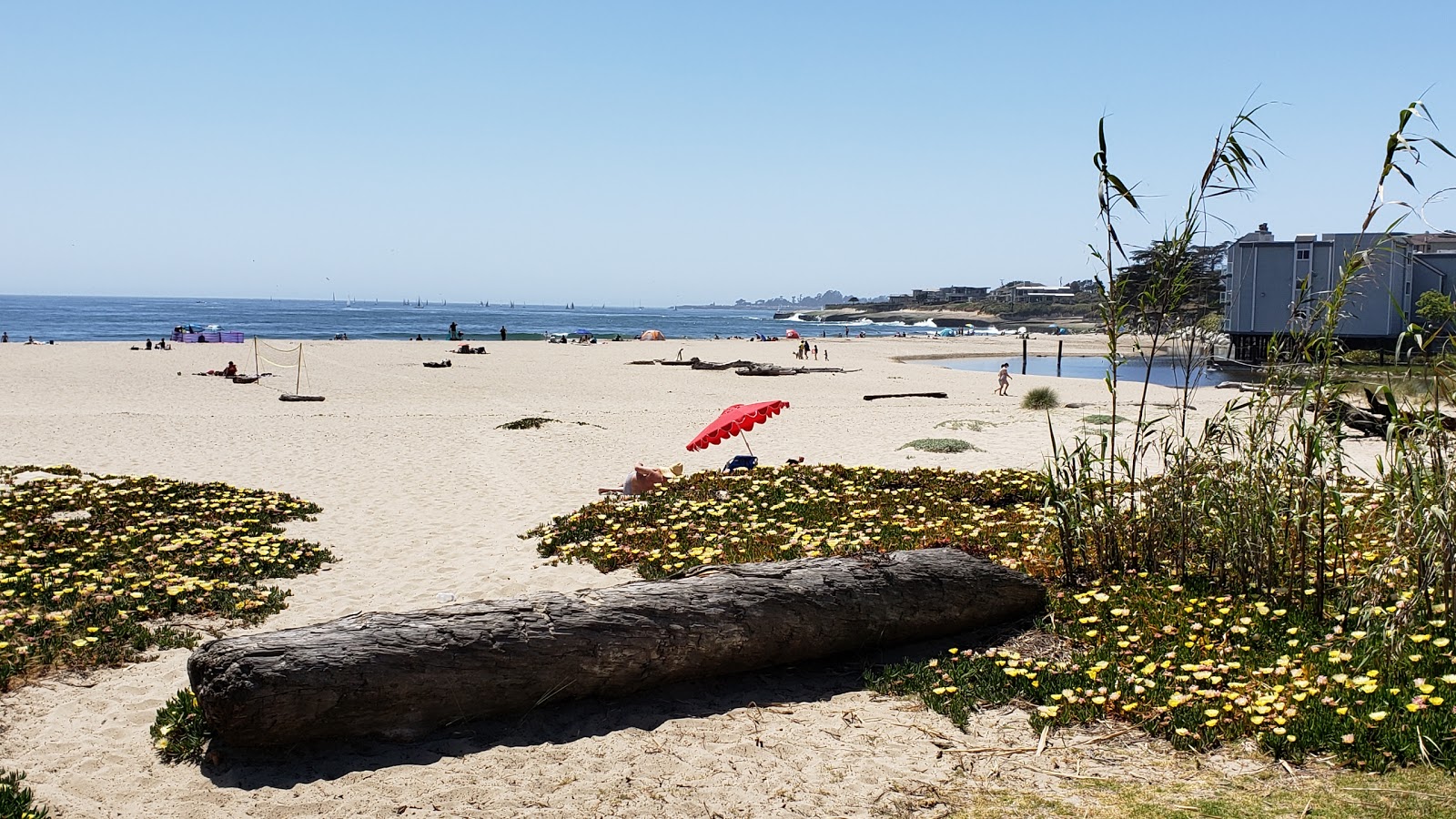 Photo of Corcoran Beach with spacious shore