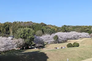 Takaba Castle Site Park image