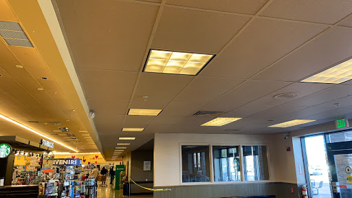 Grocery Store «Safeway», reviews and photos, 1535 Main St, Windsor, CO 80550, USA