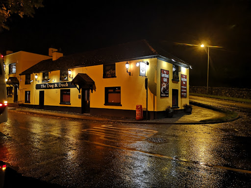 The Dog & Duck Pub