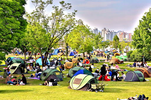 공원 피크닉 서울