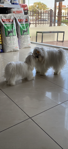 ΑΡΕΤΗ ΜΑΚΡΗ ΚΤΗΝΙΑΤΡΕΙΟ ΛΑΡΙΣΑ