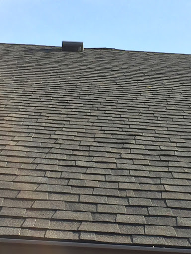 Roofing Contractor «Ascent Roofing Solutions», reviews and photos