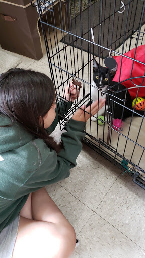 Pet Store «Fin-N-Feather», reviews and photos, 2931 F St, Eureka, CA 95501, USA