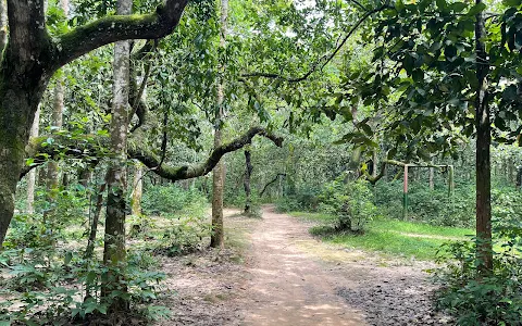 Rajeshpur Eco Park Main Gate image
