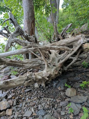 Beachgrounds Park - photo 40