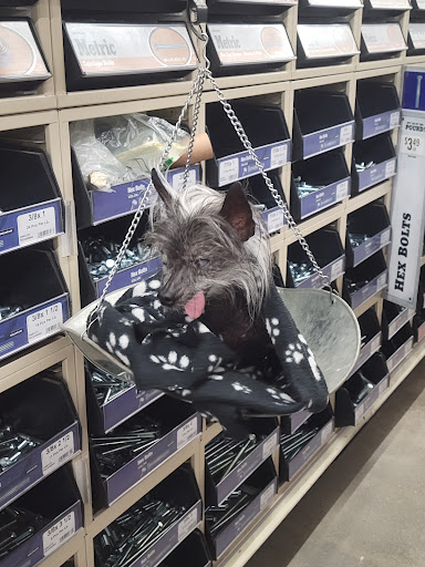 Home Improvement Store «Tractor Supply Co.», reviews and photos, 868 S Main St #100, Cleveland, GA 30528, USA