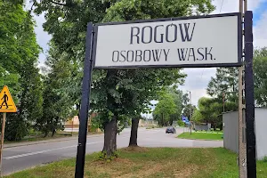 stacja Rogów Osobowy Wąsk. image