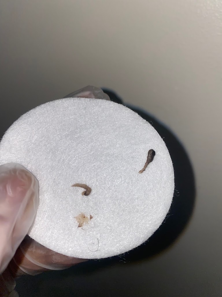 Dream Skin Aesthetics 11691