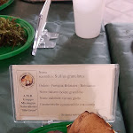 Photo n°10 de l'avis de Mario.i fait le 25/10/2021 à 12:23 sur le  Vadolì à Acri