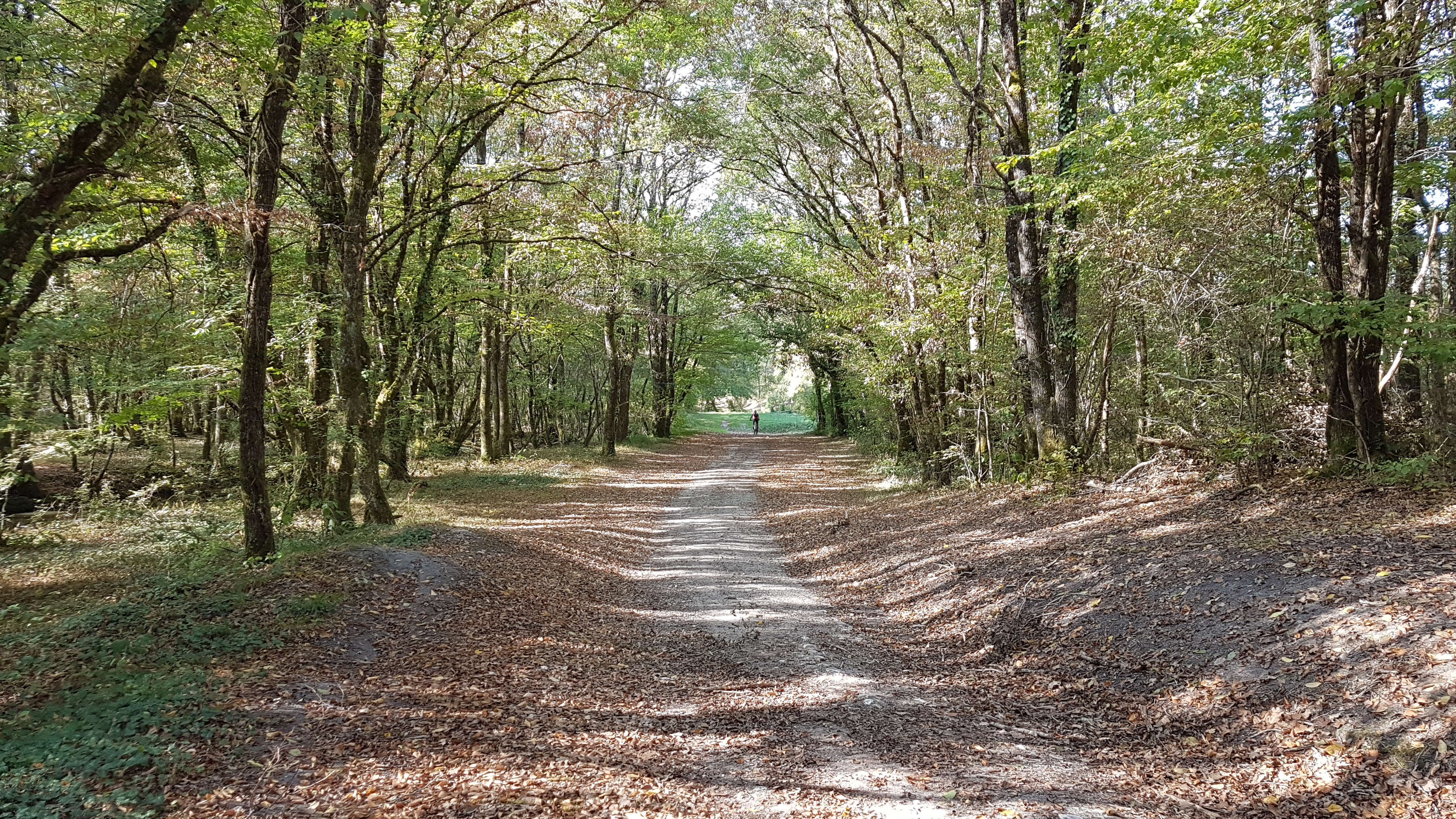 Photo n° 2 de l'avis de MICHEL. fait le 24/10/2018 à 09:05