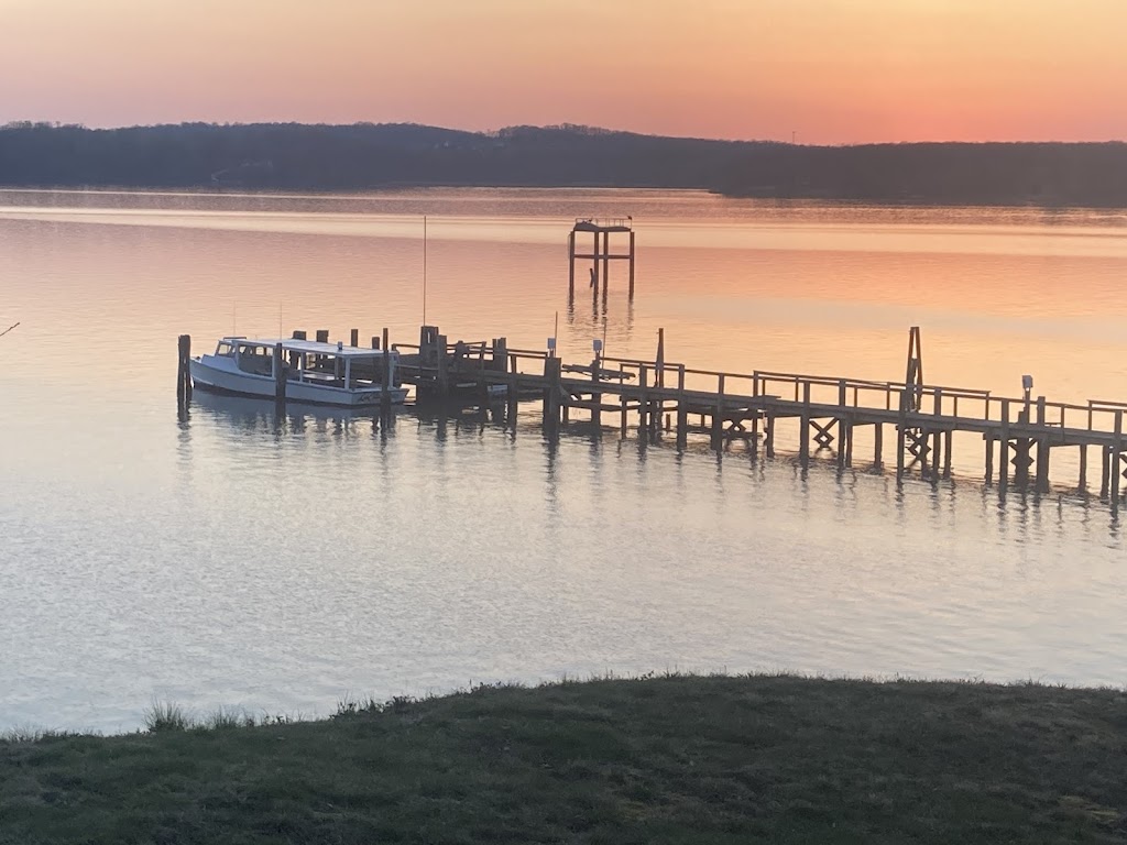 Cecil Crab Connection 21921