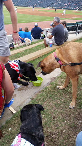 Stadium «Baseball Grounds - Jacksonville», reviews and photos, 301 A Philip Randolph Blvd, Jacksonville, FL 32202, USA