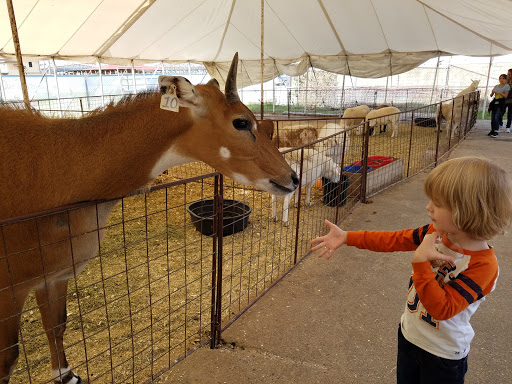 Zoo «Petting Zoo», reviews and photos, 829 E Exchange Ave, Fort Worth, TX 76164, USA