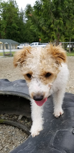 2132 Broadway, Everett, WA 98201, USA