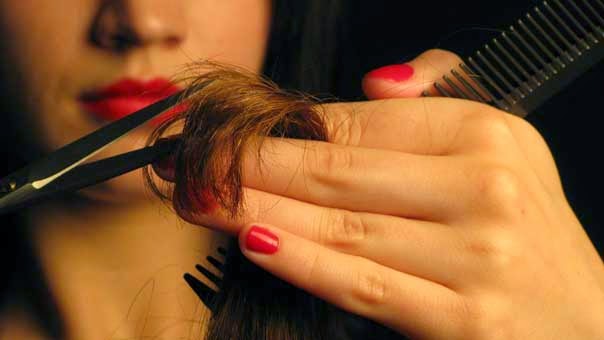 Brandywine Design 27502