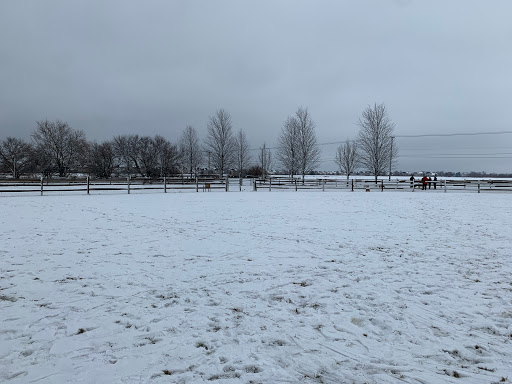 Dog Park «Daisy Dog Park», reviews and photos, 13214 Blakely Dr, Plainfield, IL 60585, USA