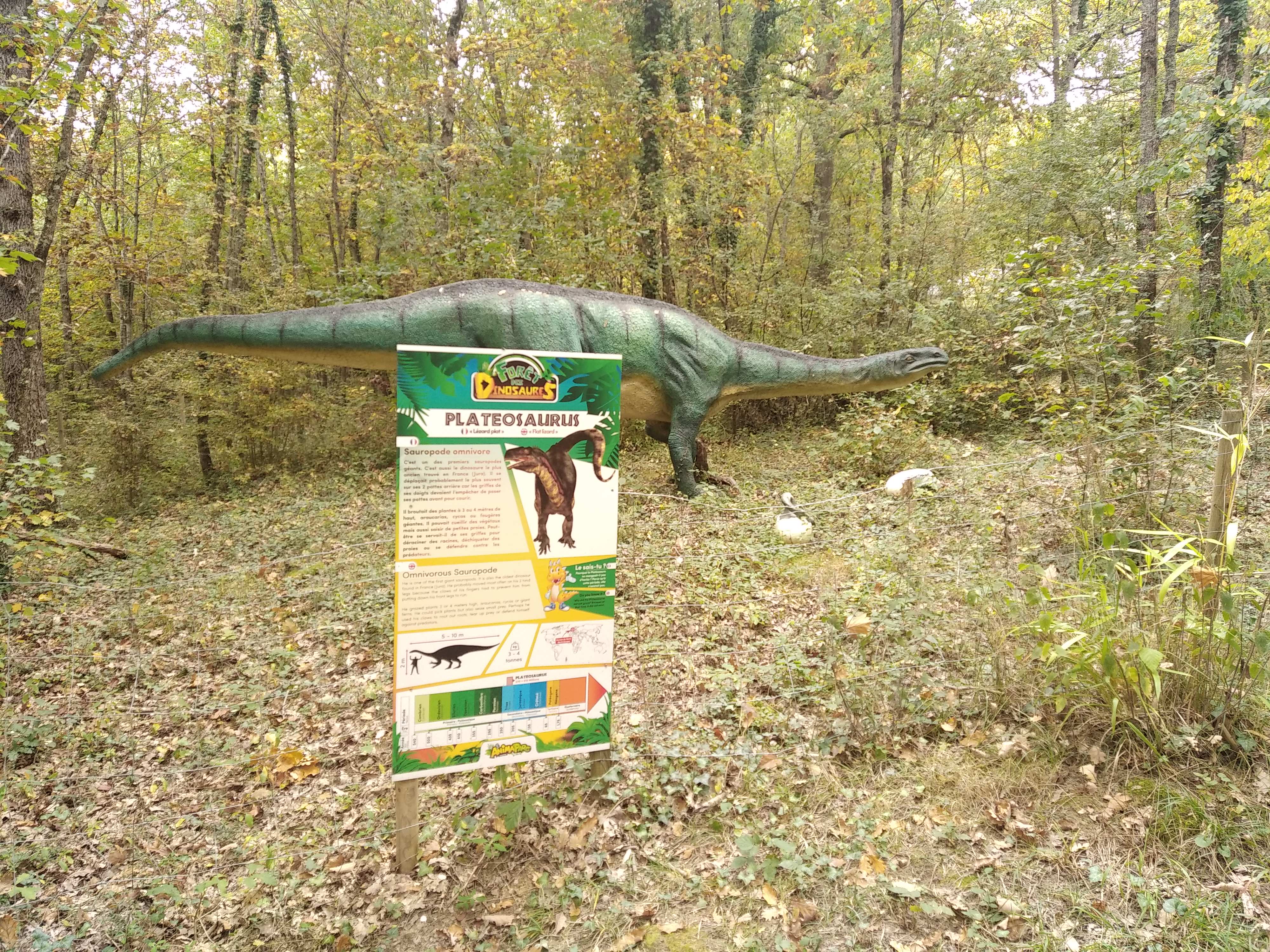 Photo n° 14 de l'avis de Mathieu.r fait le 30/10/2021 à 19:26