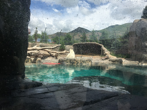 Zoo «Hogle Zoo», reviews and photos, 2600 Sunnyside Ave S, Salt Lake City, UT 84108, USA