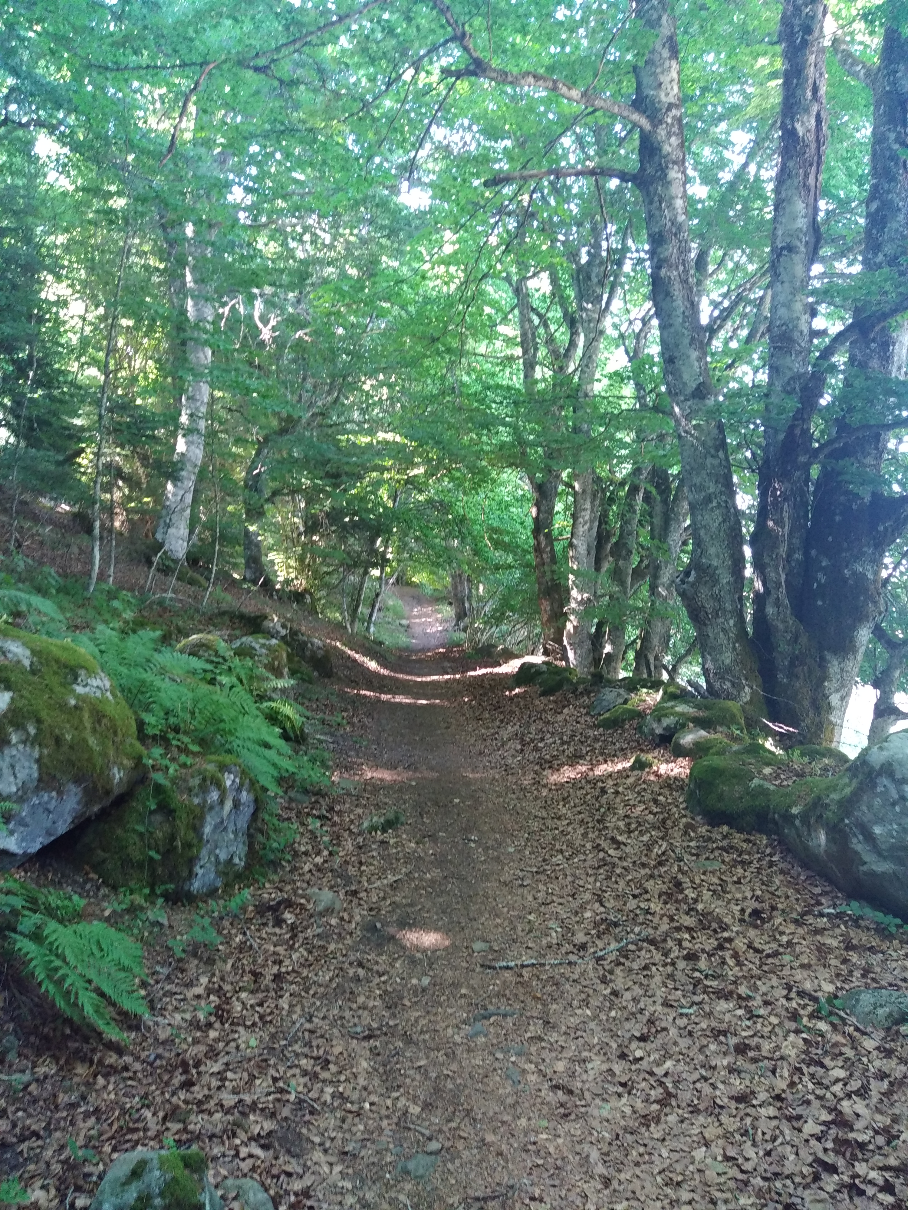 Photo n° 16 de l'avis de Julien.a fait le 14/07/2022 à 19:44