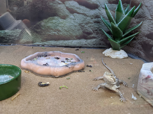 Pet Supply Store «Petco Animal Supplies», reviews and photos, 1917 Douglas Blvd, Roseville, CA 95661, USA