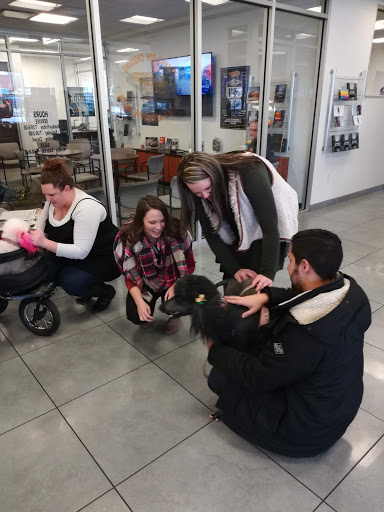 Car Dealer «Lenoir City Chrysler Dodge Jeep Ram», reviews and photos