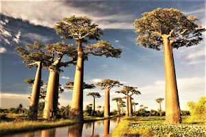 Simply Natural Madagascar