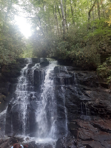 Tourist Attraction «French Broad Overlook», reviews and photos, 3938 Blue Ridge Pkwy, Arden, NC 28704, USA