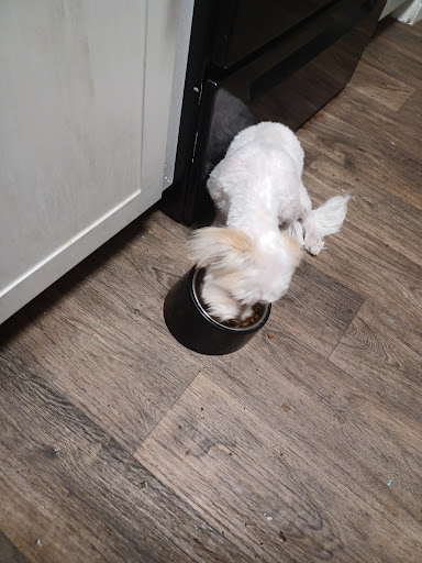 Pet Supply Store «PetSmart», reviews and photos, 1140 W Elliot Rd, Tempe, AZ 85284, USA