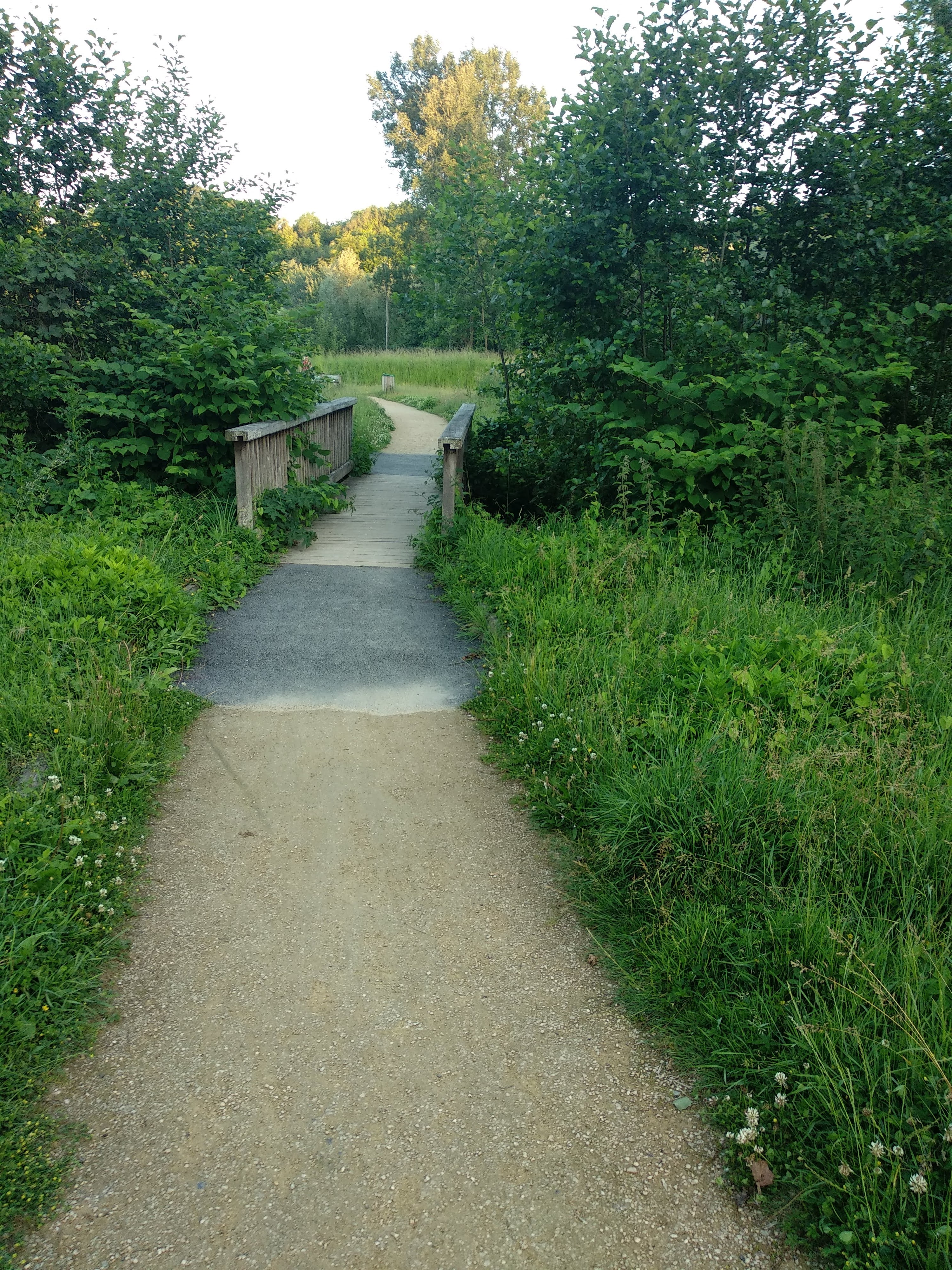 Photo n° 7 de l'avis de Taras.a fait le 17/06/2019 à 05:19