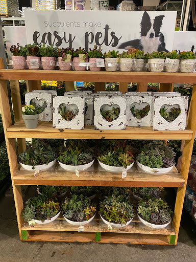 Home Improvement Store «The Home Depot», reviews and photos, 1781 E Bayshore Rd, East Palo Alto, CA 94303, USA