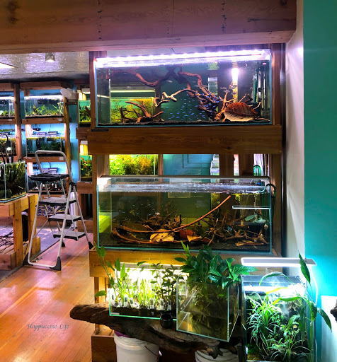 Tropical Fish Store «Aquarium Zen», reviews and photos, 920 NE 64th St, Seattle, WA 98115, USA