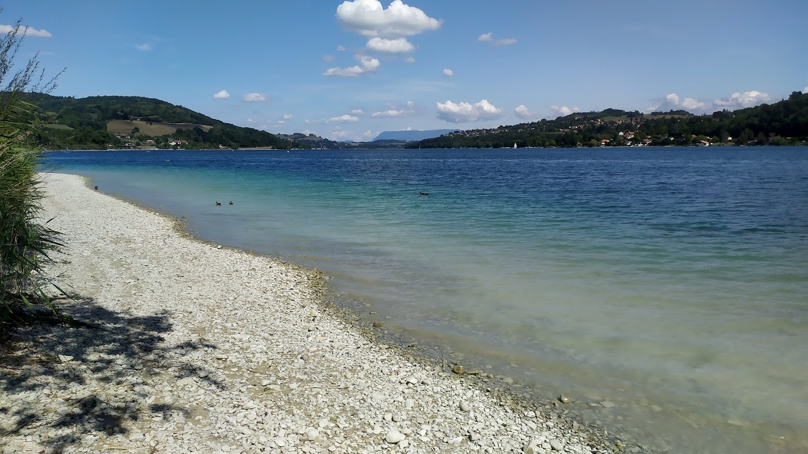 La Plage des Dauphins photo #7