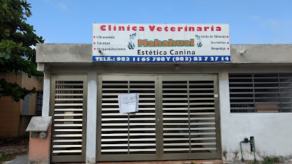 Veterinaria Mahahual