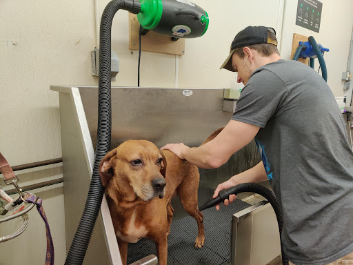 Pet Supply Store «Pet Supplies Plus», reviews and photos, 700 Nutt Rd, Phoenixville, PA 19460, USA