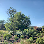 Photo n° 1 de l'avis de jean.2 fait le 16/07/2022 à 17:34 pour Parc du Château de Compiègne à Compiègne