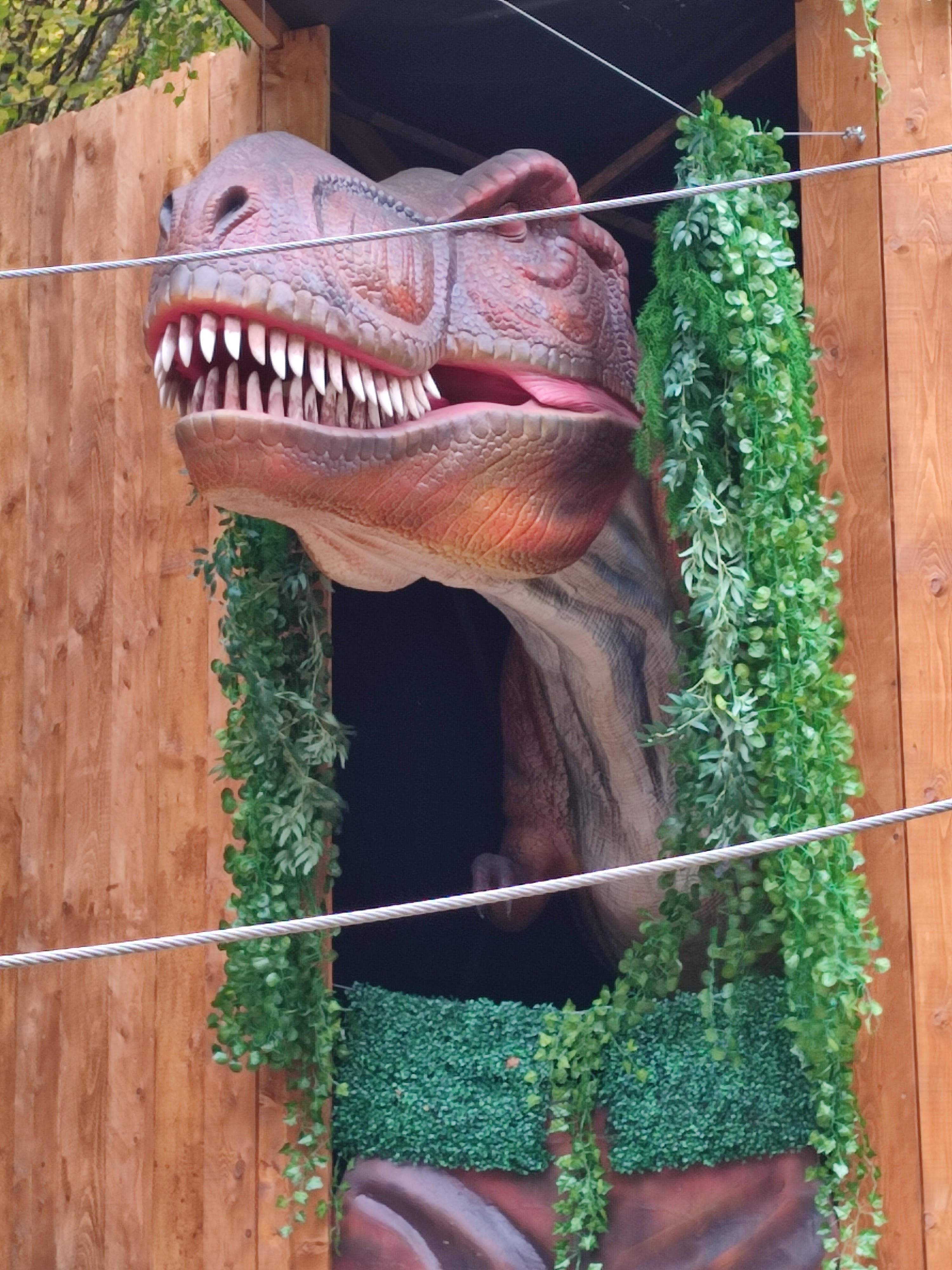 Photo n° 24 de l'avis de Anna.e fait le 05/11/2021 à 20:07