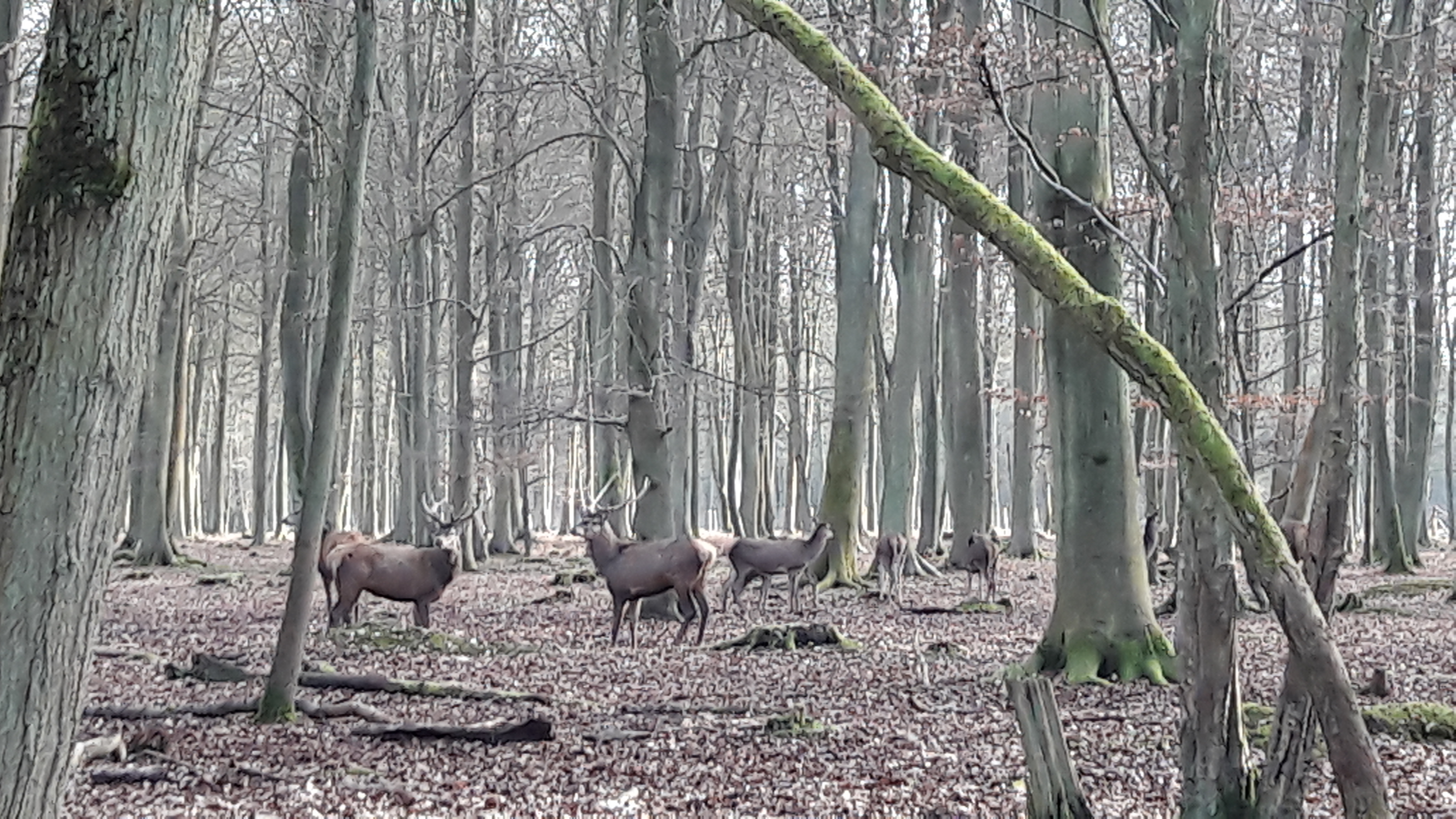 Photo n° 4 de l'avis de Cathy.A fait le 13/02/2019 à 08:02