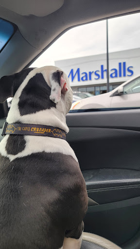 Pet Supply Store «PetSmart», reviews and photos, 5336 Westpointe Plaza Drive, Columbus, OH 43228, USA