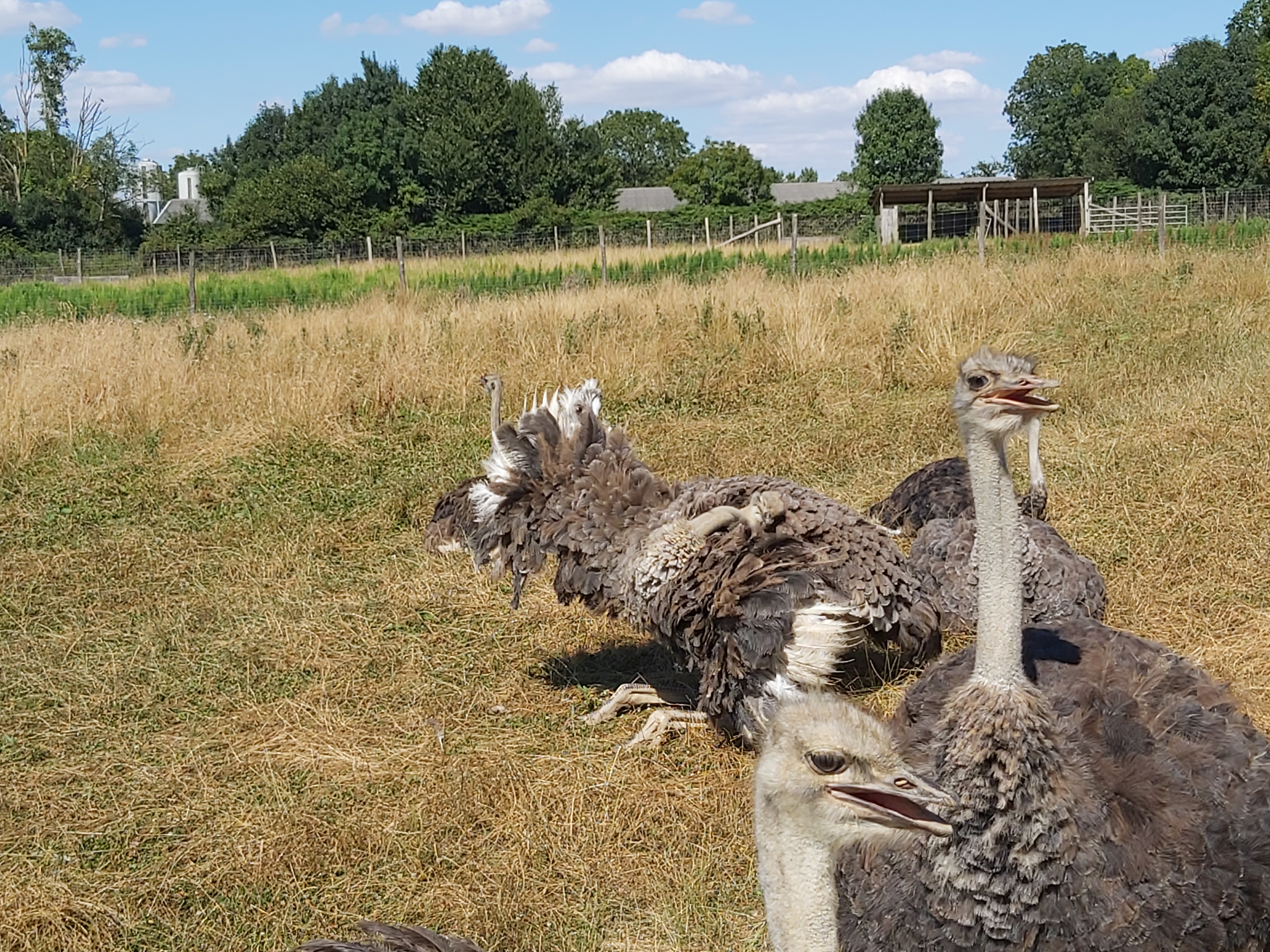 Photo n° 10 de l'avis de Guigeek_22. fait le 25/07/2020 à 21:01