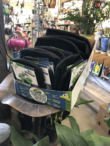 Plant Nursery «San Gabriel Nursery & Florist», reviews and photos, 632 S San Gabriel Blvd, San Gabriel, CA 91776, USA