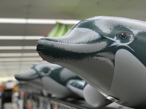 Grocery Store «Albertsons», reviews and photos, 8350 W Cheyenne Ave, Las Vegas, NV 89129, USA