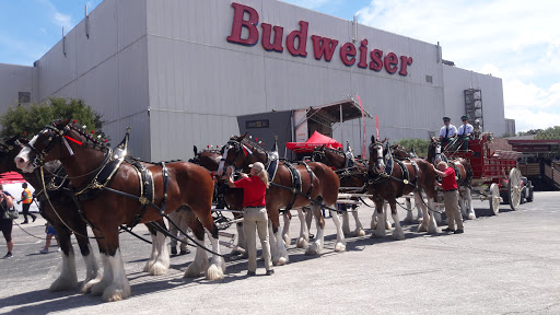 Tourist Attraction «Budweiser Brewery Experience», reviews and photos, 775 Gellhorn Dr, Houston, TX 77029, USA