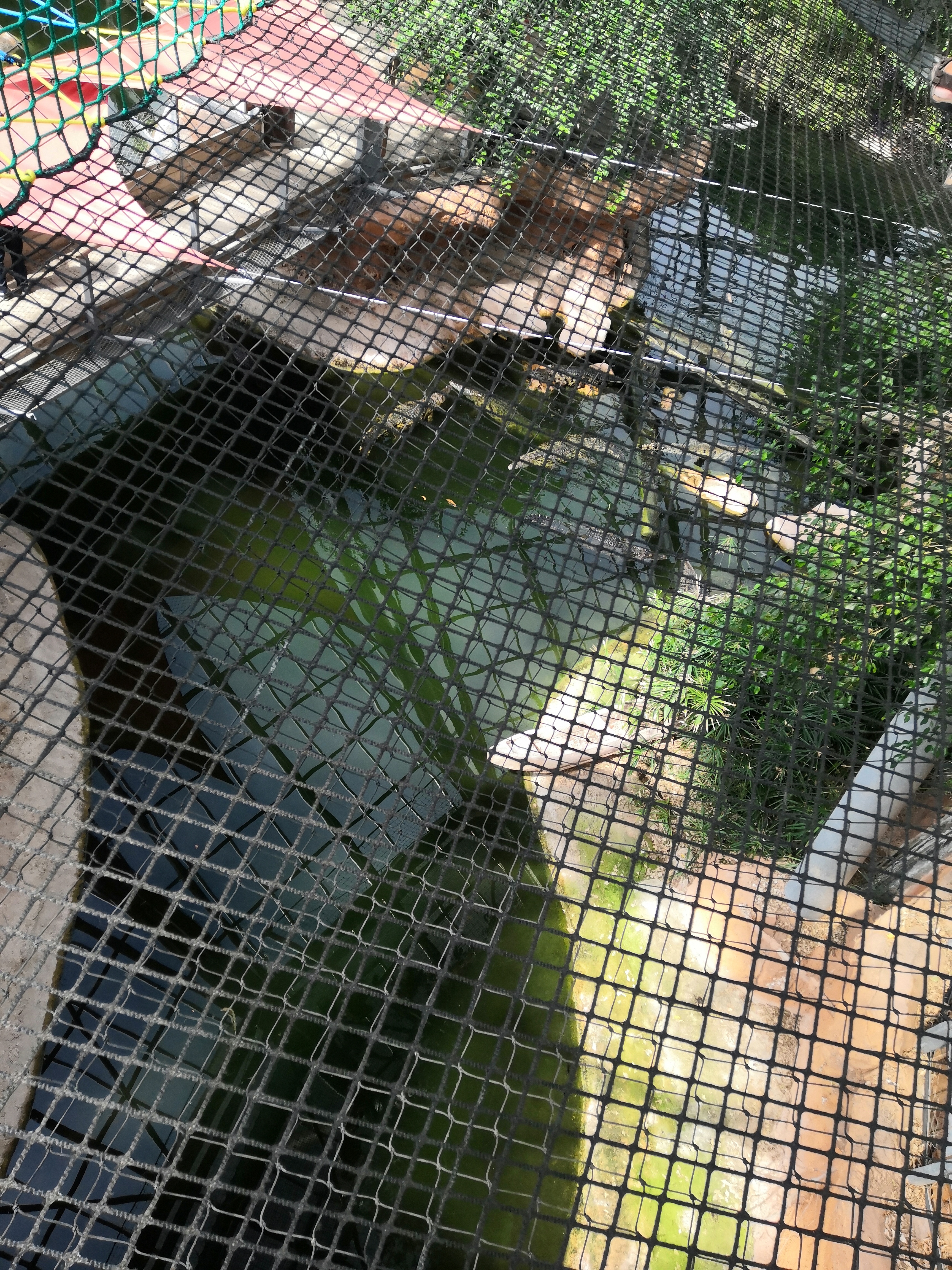 Photo n° 5 de l'avis de Ethan. fait le 16/08/2019 à 16:56
