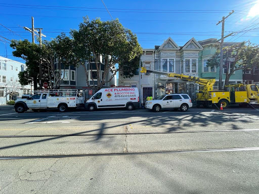 Plumber «Ace Plumbing & Rooter, Inc.», reviews and photos, 945 Taraval St #201, San Francisco, CA 94116, USA