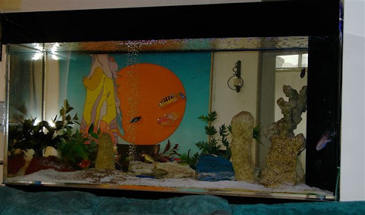 Pet Supply Store «Aquarius Aquariums», reviews and photos, 214 Riverside Dr #511, New York, NY 10025, USA
