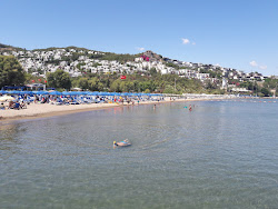 Photo de Camel beach avec un niveau de propreté de très propre