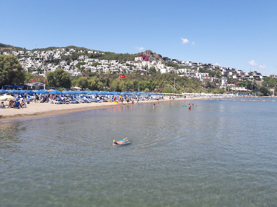 Camel beach