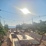 Photo n°3 de l'avis de ile.i fait le 20/09/2023 à 08:22 sur le  Peola à Marsala