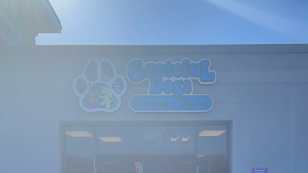 Grateful Dogs Grooming & Daycare